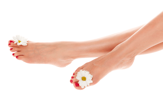Beautiful female legs with daisy flower isolated png