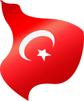 Turkey Flag, National flag of Turkey. png. png