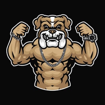 Bulldog mascot bodybuilder illustration premium vector