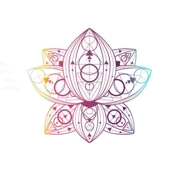 Lotus flower with geometric pattern vector linear illustration