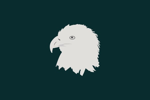 Eagle Logo, an eagle icon flying up. Shadow of an eagle, a black shape vector