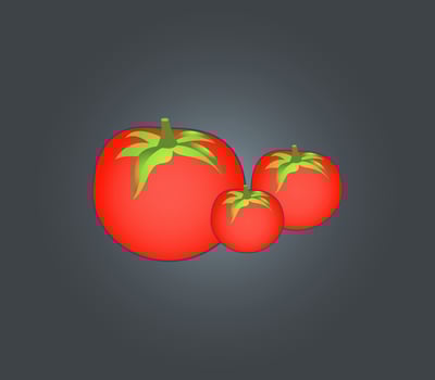 tomato Pro vector