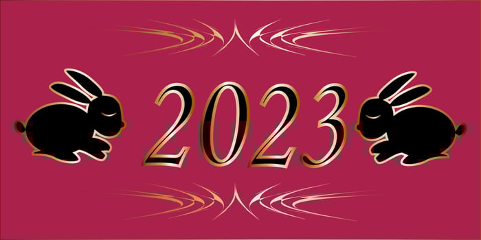 new year black rabbit 2023 gold outline raspberry background vector