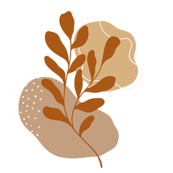 Autumn leaves illustration. Boho Aesthetic. Minimalist Style. png