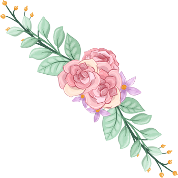 Pink flower arrangement with watercolor style png