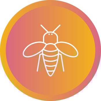 Unique Honey Bee Vector Line Icon