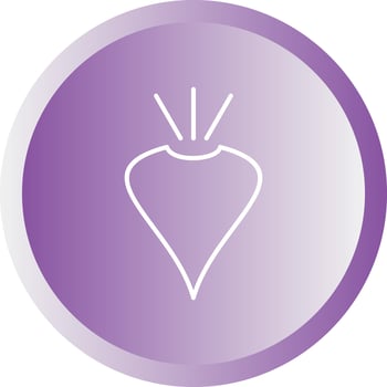 Unique Beet Vector Line Icon