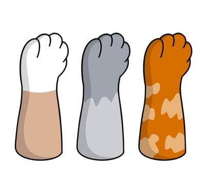 Set of different paw. Cat hands of different colors. Collection of breeds of Pets. Spots and stripes. Cartoon flat illustration. White, black, red, grey animal with fur vector