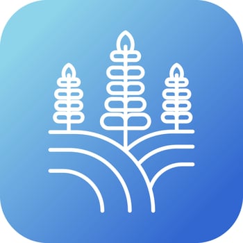 Field Vector Icon