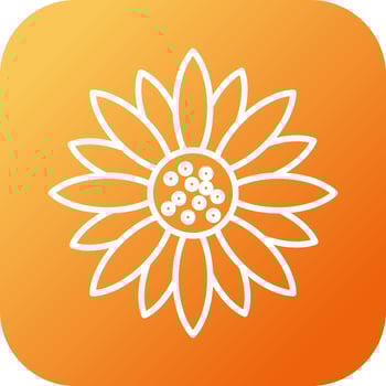 Sunflower Vector Icon