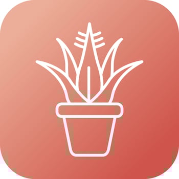 Agave Vector Icon