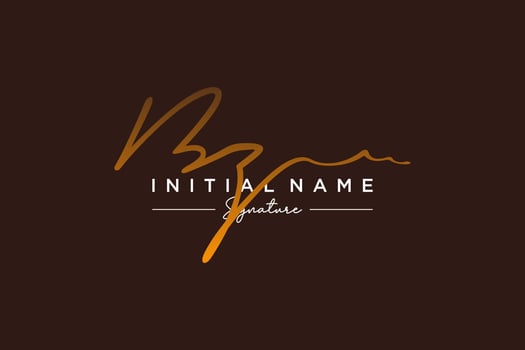 Initial BZ signature logo template vector. Hand drawn Calligraphy lettering Vector illustration.