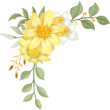 Yellow Flower Arrangement with watercolor style png