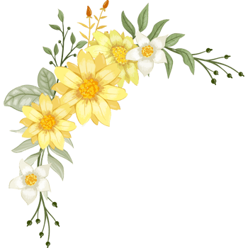 Yellow Flower Arrangement with watercolor style png