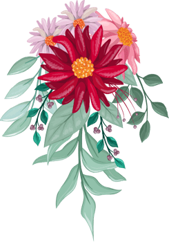 Red Flower Arrangement with watercolor style png