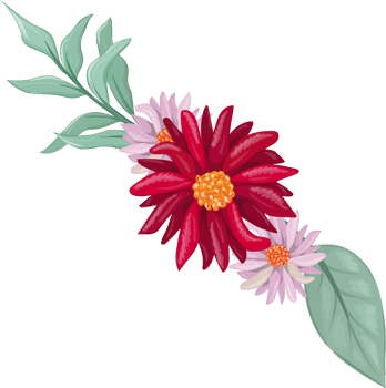 Red Flower Arrangement with watercolor style png