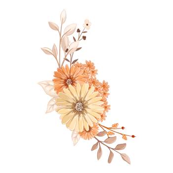 Orange Flower Arrangement with watercolor style png