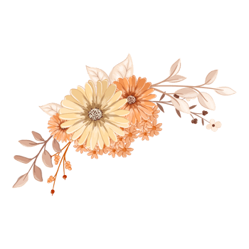 Orange Flower Arrangement with watercolor style png