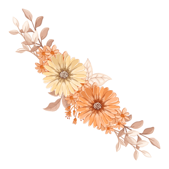 Orange Flower Arrangement with watercolor style png