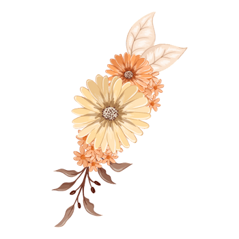 Orange Flower Arrangement with watercolor style png