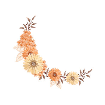 Orange Flower Arrangement with watercolor style png