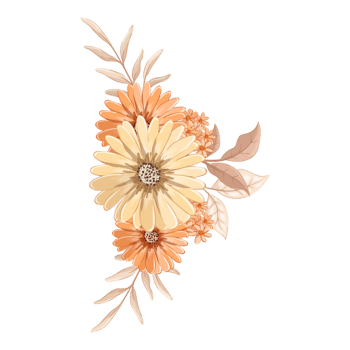 Orange Flower Arrangement with watercolor style png