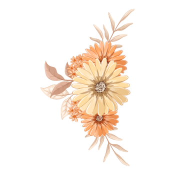 Orange Flower Arrangement with watercolor style png