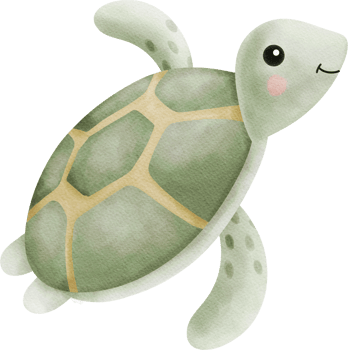 Cute Turtle Watercolor Nursery Clipart Character png
