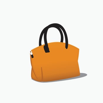 Illustration of an Orange Women's Bag on a White Background. vector