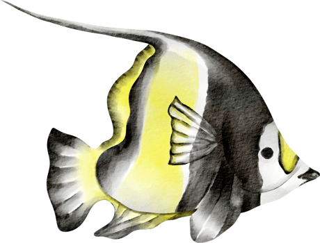 butterfly fish watercolor png