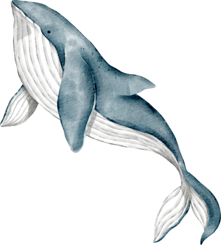 whale watercolor clip art png