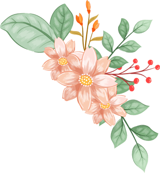 Pink Orange Flower Arrangement with watercolor style png