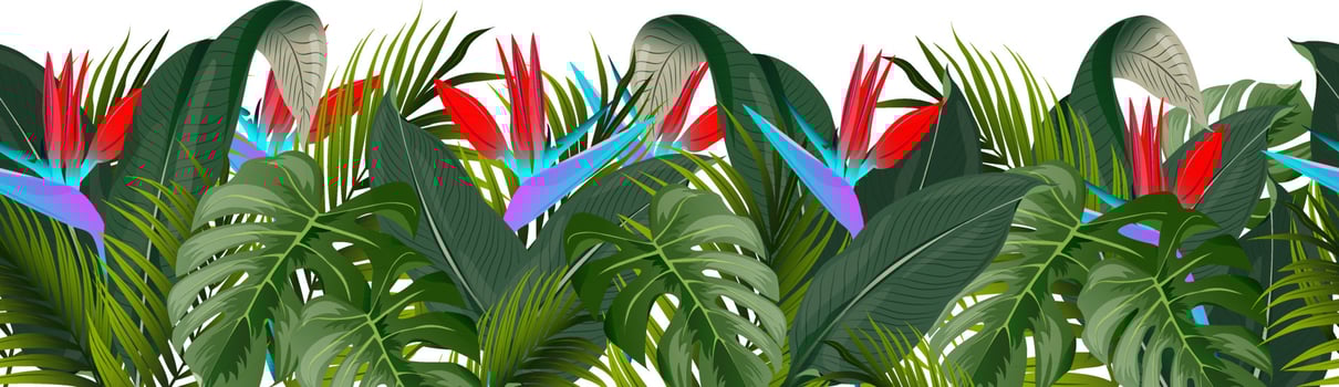 Botanical seamless border of tropical leaves and flowers. Vector illustration. Fashionable compositions with tropical leaves and flowers. Suitable for brochures, wallpapers, prints, postcards