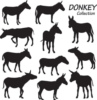 donkey silhouette set vector