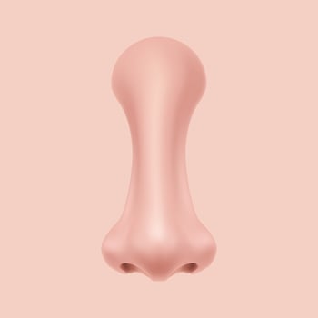 Front view Human Nose on the face realistic Illustration for medicine, Isolated on  background Design Vector. Rhinoplasty example. Body part for biology. vector