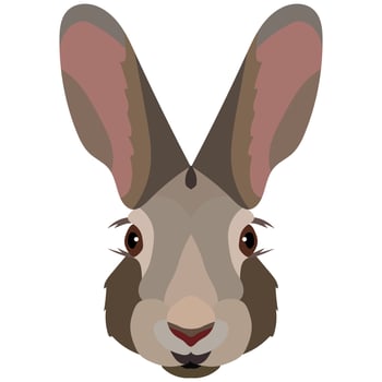 Vector Cartoon Hare Head. Front View.