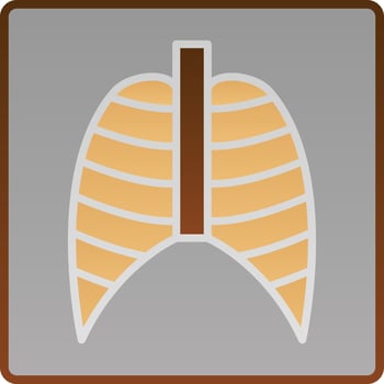 Xray Vector Icon Design