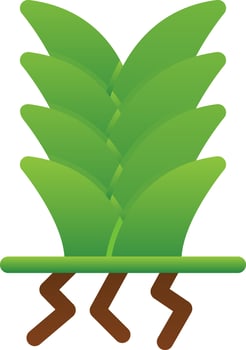 Yucca Vector Icon Design