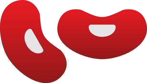 Bean Vector Icon Design