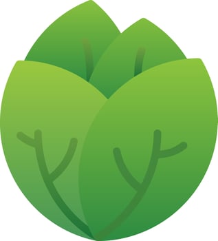 Cabbage Vector Icon Design