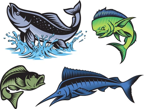 A colour vector clip art for a fishing theme