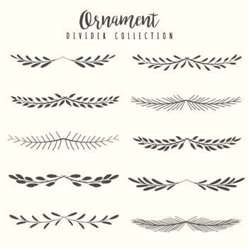 Hand drawn floral divider borders collection with branches and flower vector