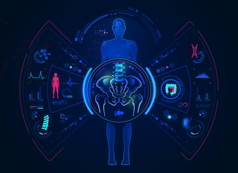 pelvis scan interface vector