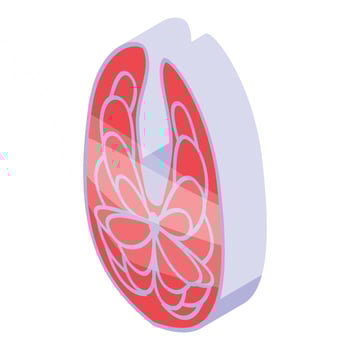Red fish protein icon, isometric style vector