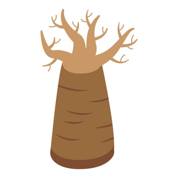 Old baobab tree icon isometric vector. Angola seed vector