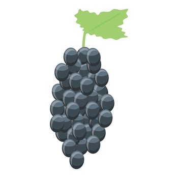 Black wine grapes icon, isometric style vector