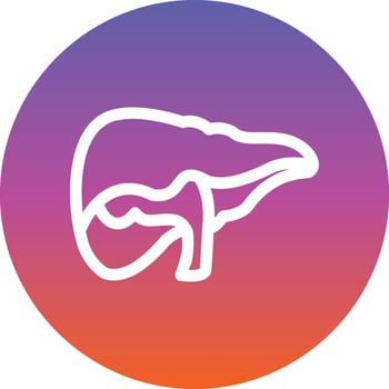 Liver Vector Icon Design