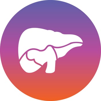 Liver Vector Icon Design