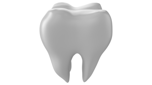3d dental teeth isolated on Transparent background PNG