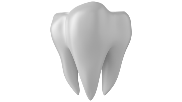 3d dental teeth isolated on Transparent background PNG